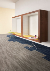 Shared Path на акустической основе Echo Acoustic 569 фото 2 | FLOORDEALER